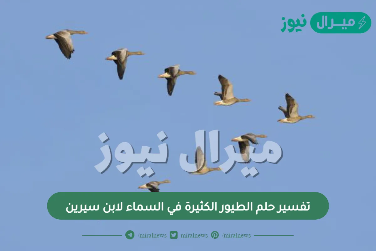 تفسير حلم الطيور الكثيرة في السماء لابن سيرين