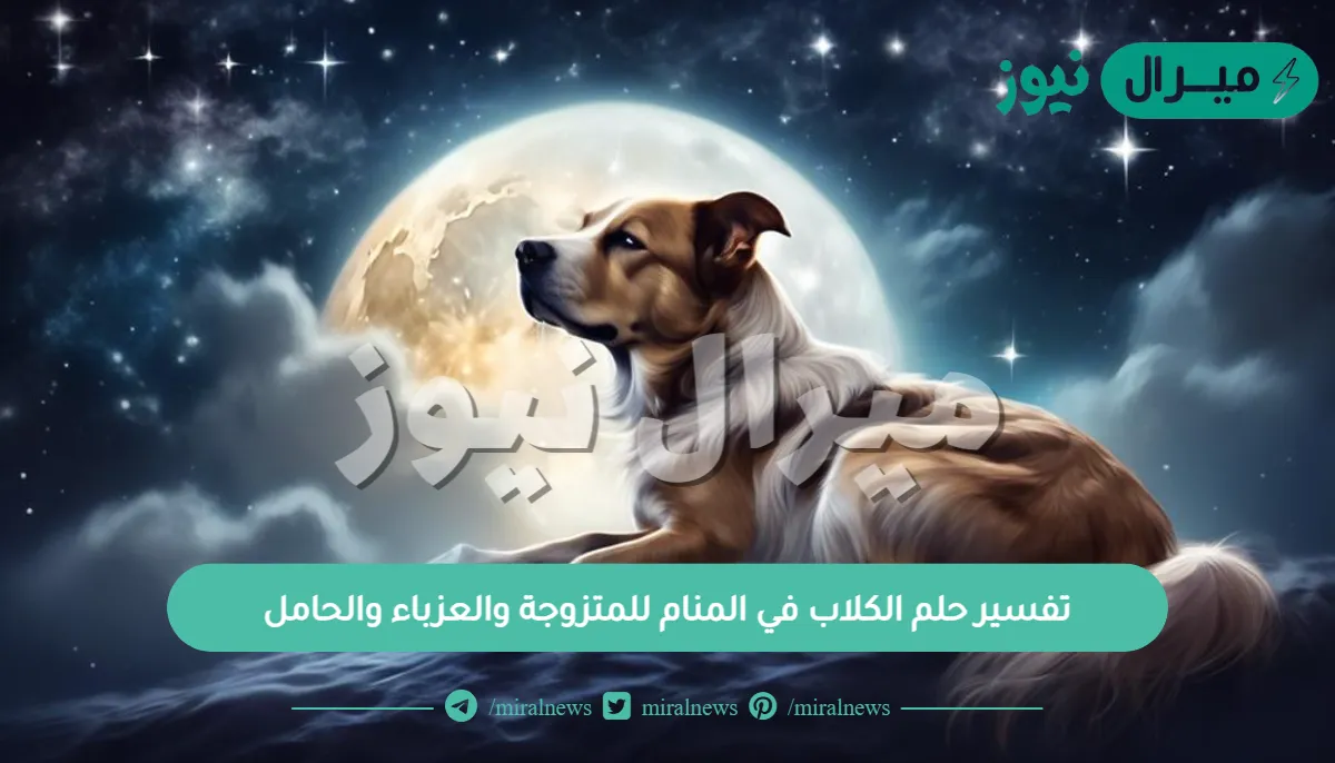 تفسير حلم الكلاب في المنام للمتزوجة والعزباء والحامل