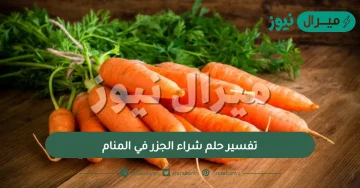 تفسير حلم شراء الجزر في المنام