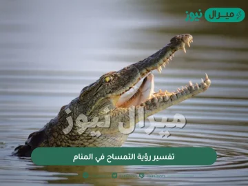 تفسير رؤية التمساح في المنام