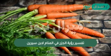 تفسير رؤية الجزر في المنام لابن سيرين