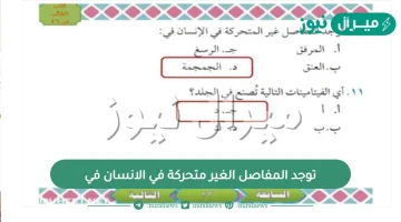 توجد المفاصل الغير متحركة في الانسان في