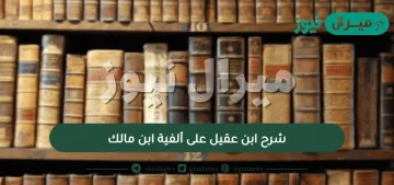 شرح ابن عقيل على ألفية ابن مالك