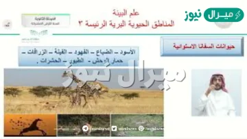 صف العوامل اللاحيوية التي تحدد المناطق الحيوية البرية