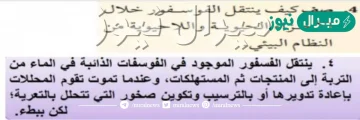 صف كيف ينتقل الفوسفور خلال الاجزاء الحيويه