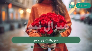 صور باقات ورد احمر