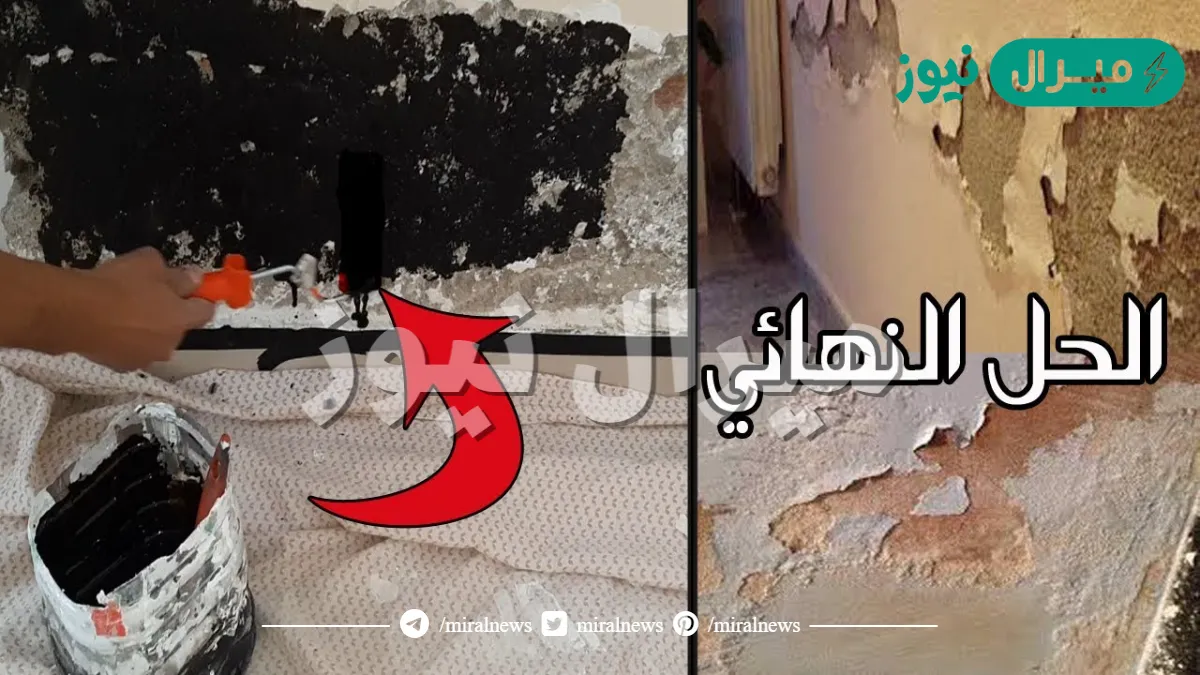 ودع عفن الحوائط والرطوبة.. فكرة مذهلة للتخلص من مشاكل الحوائط في الشتاء