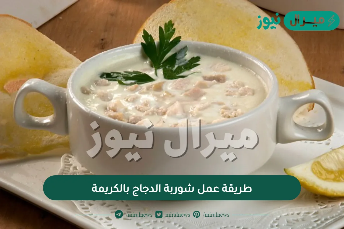 طريقة عمل شوربة الدجاج بالكريمة.. روعة في برد الشتاء