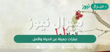 عبارات جميلة عن الحياة والأمل