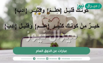 عبارات عن الذوق العام