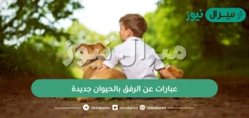 عبارات عن الرفق بالحيوان جديدة