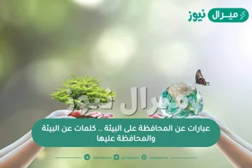 عبارات عن المحافظة على البيئة .. كلمات عن البيئة والمحافظة عليها