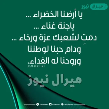 عبارات عن حب الوطن السعوديه قصيره