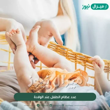 عدد عظام الطفل عند الولادة