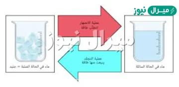 فسر الاختلاف بين عمليتي الانصهار والتجمد