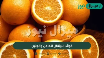 فوائد البرتقال للحامل والجنين