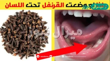 “مش هتبطل تعملها”.. ضع حبات من القرنفل قبل النوم تحت لسانك وستدهشك النتائج المذهلة