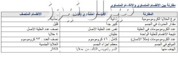 قارن بين الانقسام المتساوي والمنصف .. ما الفرق بينهم