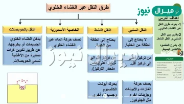 ما الفرق بين النقل السلبي و النشط؟