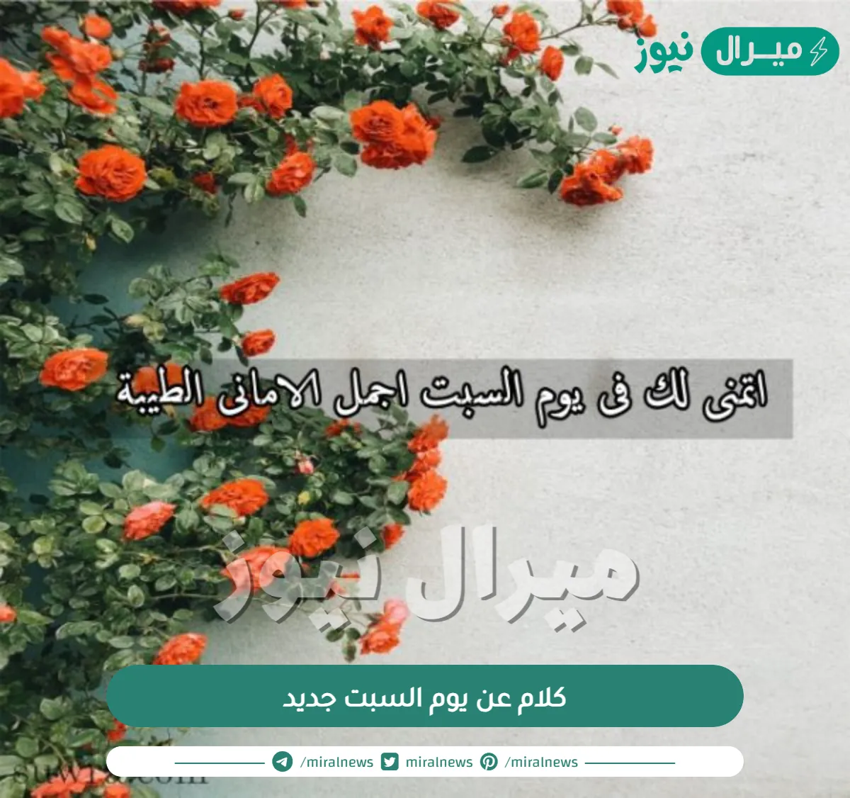 كلام عن يوم السبت جديد