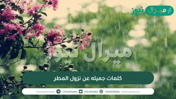 كلمات جميله عن نزول المطر