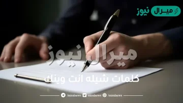 كلمات شيله انت وينك