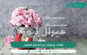 كلمات وعبارات عن الصباح الجميل