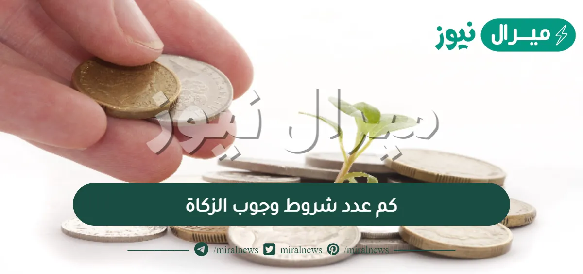 كم عدد شروط وجوب الزكاة