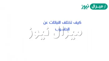 كيف تختلف النباتات عن الحاسوب