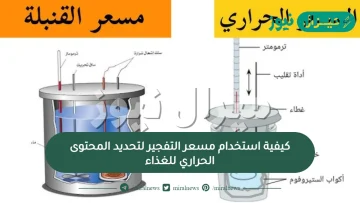 كيفية استخدام مسعر التفجير لتحديد المحتوى الحراري للغذاء