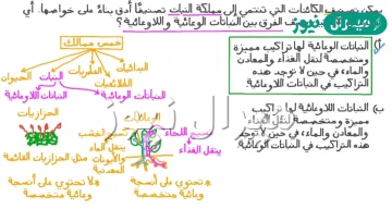 لماذا سميت النباتات اللاوعائية بهذا الاسم