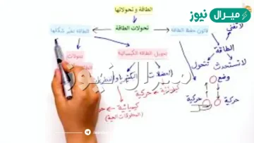 ما تحولات الطاقة التي تحدث في العضلات؟