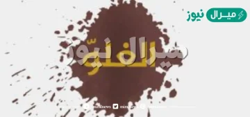 ما مثال الغلو في النبي توحيد ثاني متوسط