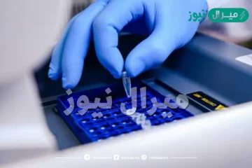 ما هو تحليل pcr