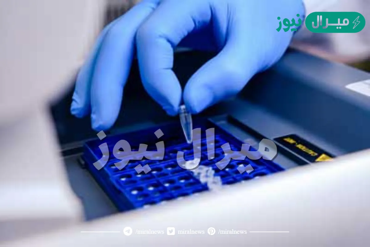 ما هو تحليل pcr