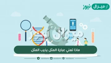 ماذا تعني عبارة المثل يذيب المثل