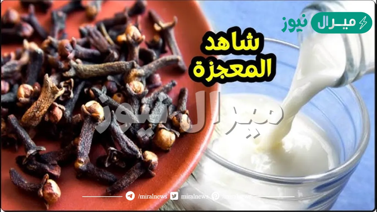 كنز سبحان الله.. ضع ملعقة قرنفل على كوب حليب على الريق والنتيجة غير متوقعة تصنع العجائب وتشفى الامراض