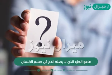 ماهو الجزء الذي لا يصله الدم في جسم الانسان