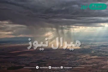 ماهو معنى كلمة الودق