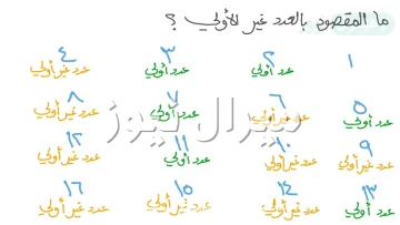 ماهي الاعداد الاوليه وغير اوليه