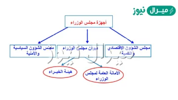 مم يتألف مجلس الوزراء في المملكة العربية السعودية