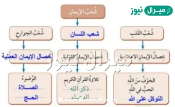 من امثله شعب الايمان المتعلقه بعمل اللسان