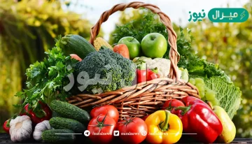 موضوع عن الاطعمه الطازجه وفوائدها