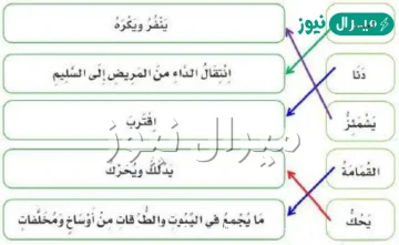 نص الاستماع ناقلة الامراض مكتوب