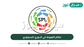 نظام الهبوط في الدوري السعودي