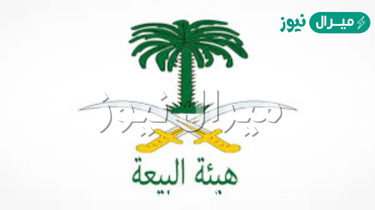نظام هيئة البيعة الجديد  في السعودية