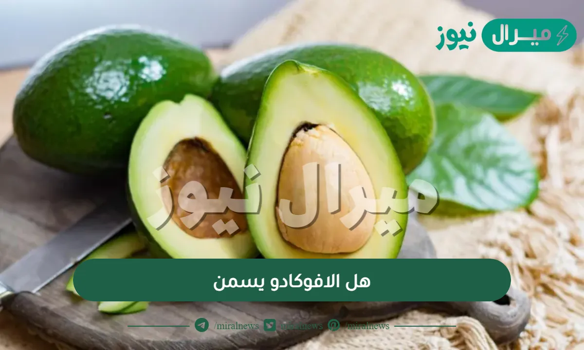 هل الافوكادو يسمن