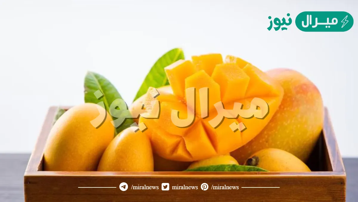 هل المانجو تزيد الوزن