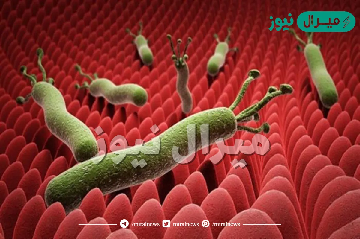 هل جرثومة المعدة معدية وكيفية الوقاية منها