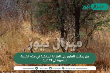 هل يمكنك العثور على الغزالة المخفية في هذه الخدعة البصرية في 13 ثانية